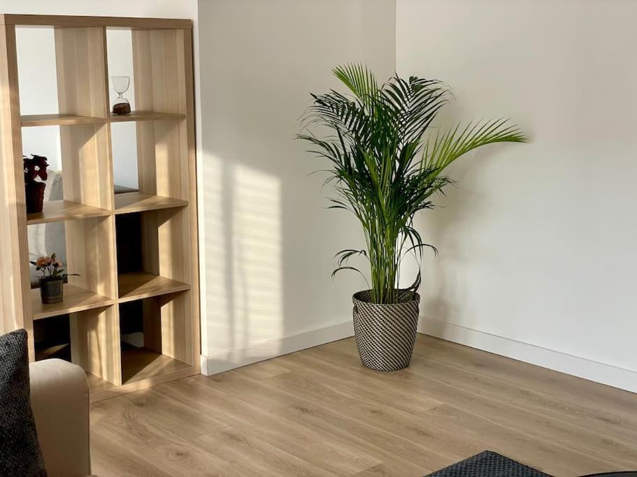 Appartement 73M2 - 2 Chambres - Parking - Wi-Fi Τουλούζη Εξωτερικό φωτογραφία