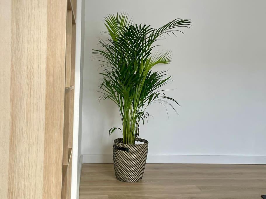 Appartement 73M2 - 2 Chambres - Parking - Wi-Fi Τουλούζη Εξωτερικό φωτογραφία